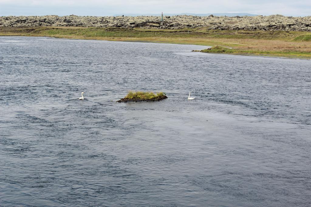 Eldhraun Guesthouse South Iceland Eksteriør bilde